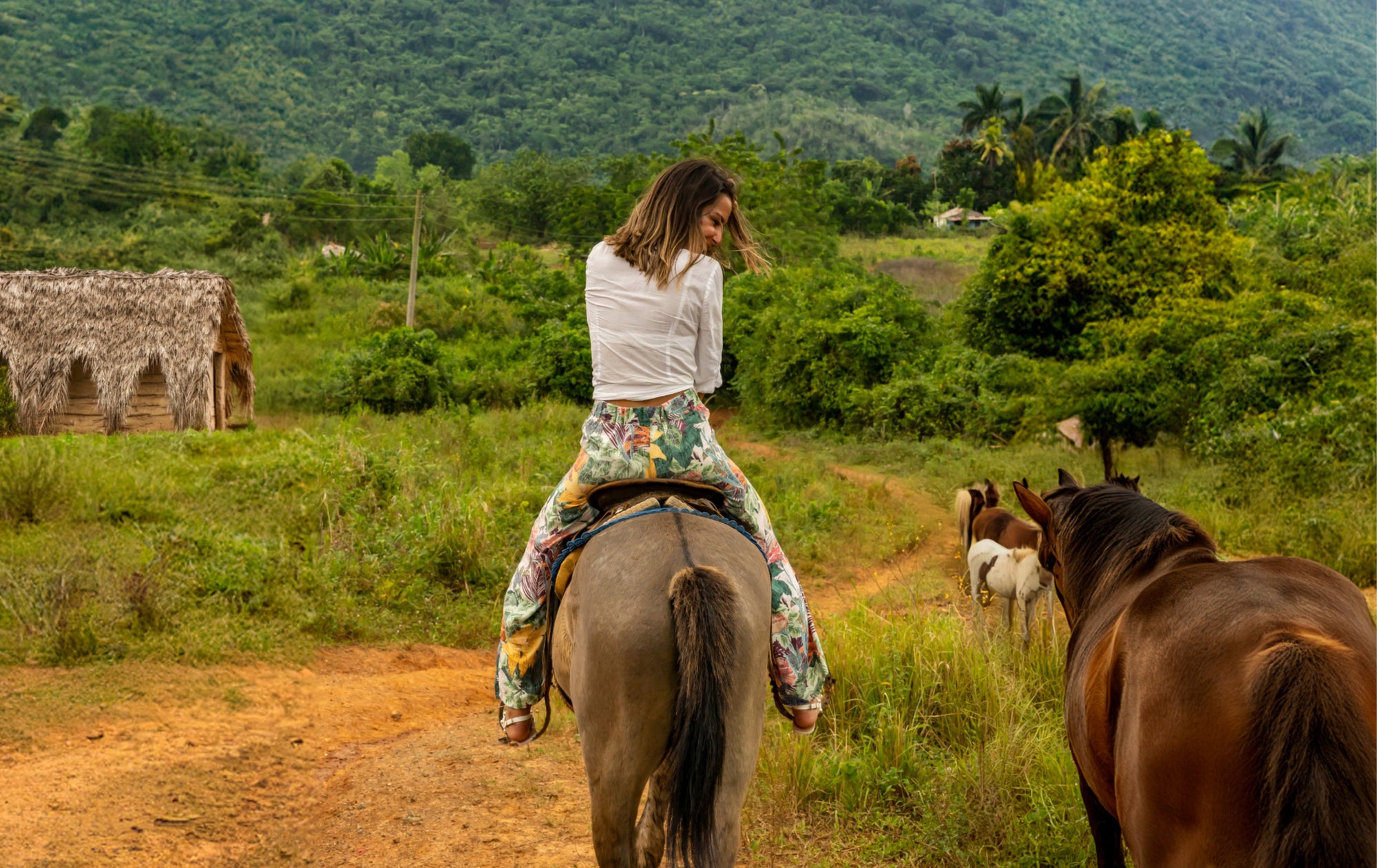 Excursión y Sesión Fotográfica en Viñales